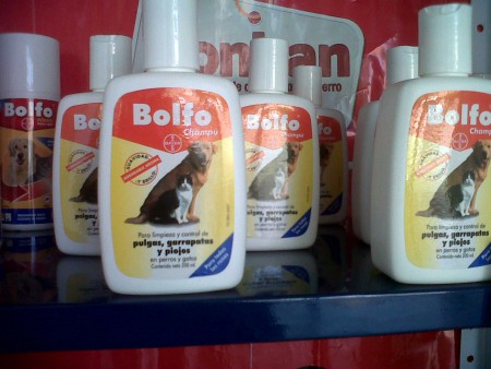 Champú BOLFO
